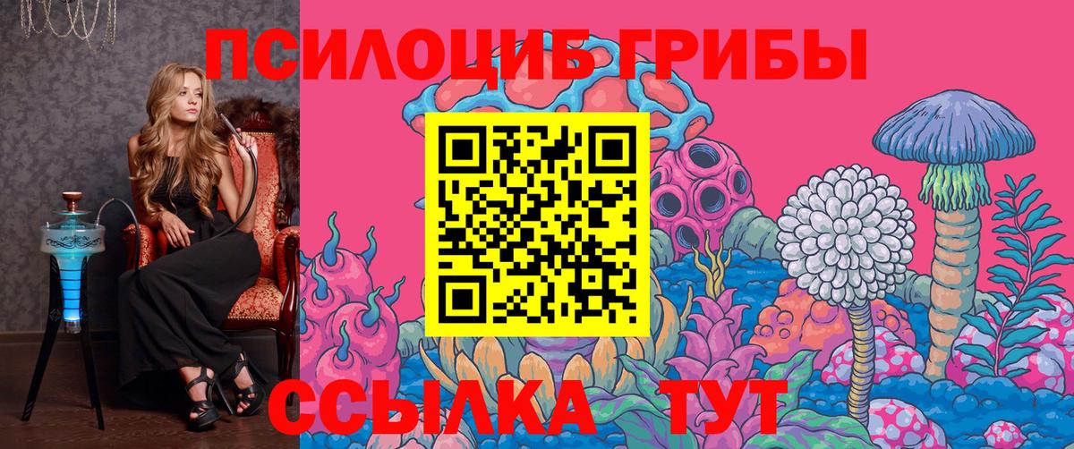 Псилоцибиновые грибы мухоморы  где найти наркотики  Вход с VPN  Барабинск  Галлюциногенные грибы прущие грибы 