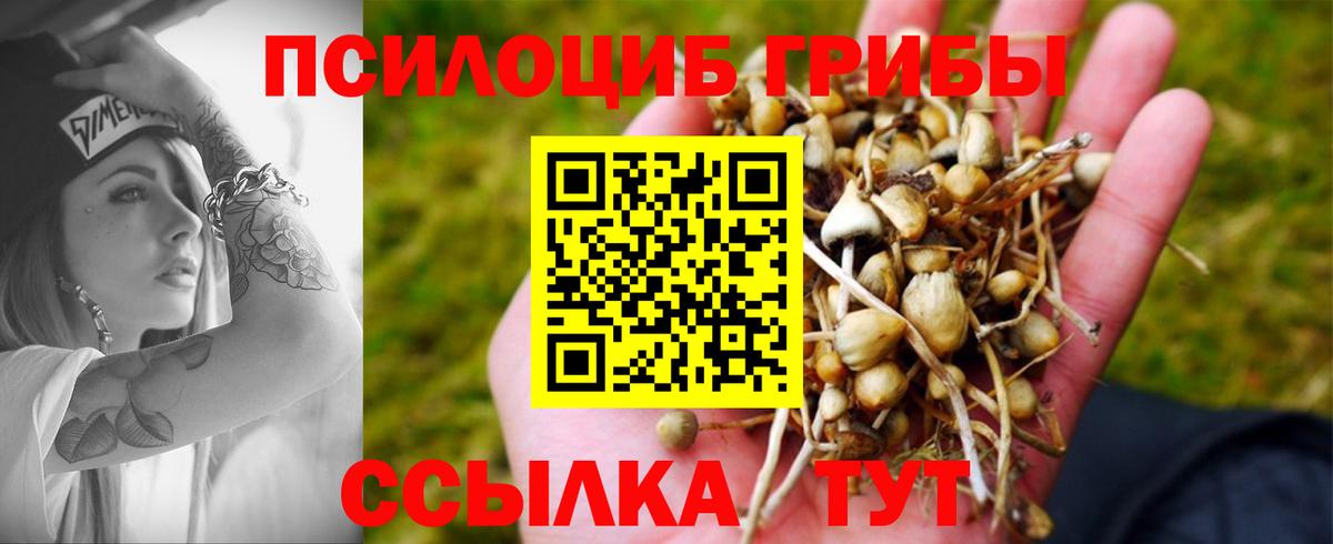Галлюциногенные грибы мицелий Барабинск